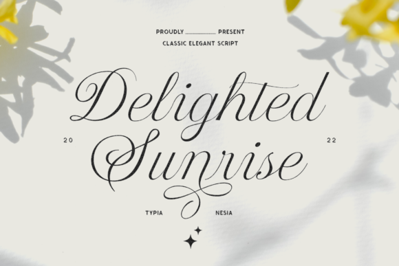 Delighted Sunrise Script Handwritten Font for Elegant Digital Branding