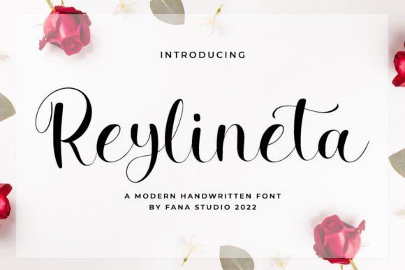 Reylineta Script Font for Modern Web Design