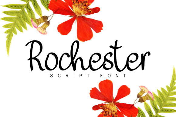Rochester Script Font for Elegant Digital Branding